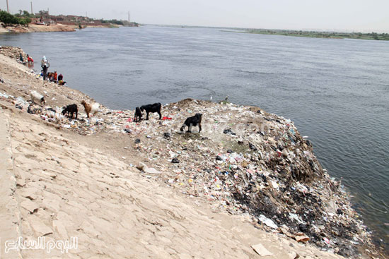 اليوم السابع -5 -2015